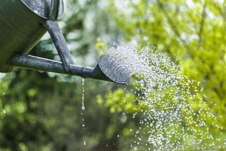 Garten- und Landschaftsbau Andresen GmbH Munkwolstrup Willkommen auf unserer Webseite Wir sind Ihr professioneller Ansprechpartner rund um den Garten- und Landschaftsbau. Wir planen mit Ihnen zusammen Ihren Garten, ob Sie diesen nun neu anlegen wollen oder einfach nur umgestalten möchten - professionelle Planung von Ihrem kompetenten Garten- und Landschaftsbauer läßt auch Ihren Garten in einem neuen Licht erstrahlen. Wir übernehmen alle Erd- und Pflasterarbeiten für Sie. Dabei legen wir höchsten Wert auf fachgerechtes Arbeiten und verarbeiten nur beste Materialien, ganz auf Ihren Geschmack abgestimmt. Wege und Beetränder werden von uns ebenso verlegt wie Garteninseln und kleine Terrassen - alles für einen Garten, in dem Sie sich wohlfühlen und wo Sie Ihre verdiente Freizeit gerne verbringen. Unsere Leistungen umfassen im Weiteren den Bau von Zäunen. Passend zu Ihrem Domizil und Ihrem Geschmack fassen wir Ihr Gelände ein und geben dem Ganzen eine unaufdringliche Umrahmung. Sie möchten einen Teich? Sprechen Sie uns an, wir legen für Sie in Ihrem Garten einen Teich an und sorgen gleichzeitig mit der richtigen Umpflanzung für eine wunderschöne Auflockerung in Ihrem Garten. Wir pflegen auch auf Wunsch Ihren Garten und legen Beete an. Wir pflanzen jahrezeitlich abgestimmte Beete und sorgen so für einen immer schönen und gemütlichen Ort für Ihr Seelenwohl. Haben Sie ein Gewerbe und möchten Sie Ihre Kunden entsprechend bereits bei deren Ankunft überzeugen? Wir bieten unseren kompetenten Service auch für Gewerbegrünflächen und -parks an. Wir übernehmen die gesamte Planung, Gestaltung und Pflege, ganz nach Ihren Vorstellungen und passend zum Objekt, damit sich Ihre Kunden und Mitarbeiter bei Ihnen wohlfühlen. Zu unseren Leistungen gehören auch die Pflege von Bäumen und, wenn nötig, das fachgerechte, saubere Fällen auf Ihrem Grundstück. Wir arbeiten stets nach höchsten Sicherheitsstandards, so dass nichts in Ihrem Umfeld durch das Fällen von einzelnen oder mehreren Bäumen gefährdet wird. Ein Trauerfall in der Familie ist immer ein Ereignis, das besonderes Einfühlungsvermögen erfordert. Wir beschreiten mit Ihnen den letzten Weg Ihres Verwandten und sorgen für ein würdigen Abschied, indem wir mit Ihnen zusammen die Anlage der Grabstätte planen und, auf Wunsch, diese anschließend pflegen.